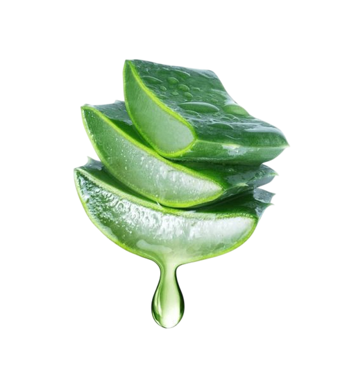 Extracto de aloe vera